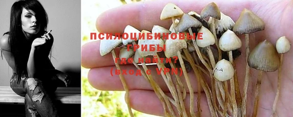 не бодяженный Майский