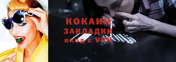соль ск Абаза