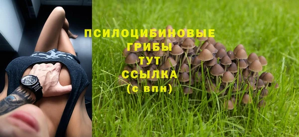 ALPHA-PVP Магас