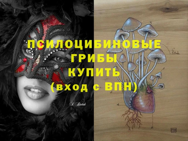 соль ск Абаза