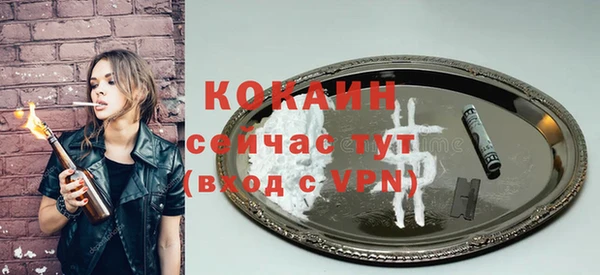 соль ск Абаза