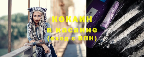 соль ск Абаза