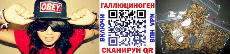 даркнет сайт Краснодар Псилоцибиновые грибы GOLDEN TEACHER